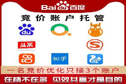 网络营销新篇章：竞价推广案例分析